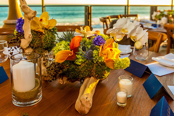 Martell Nobu Malibu